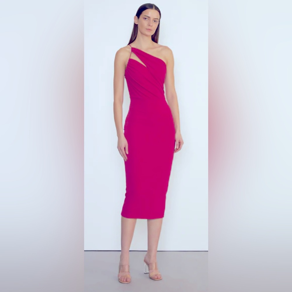 Cushnie silk dress  NWT